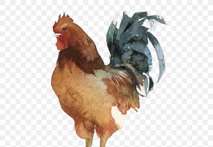Sussex Chicken Wyandotte Chicken Leghorn Chicken Brahma Chicken Rooster, PNG, 564x565px, Sussex Chicken, Animal, Art, Artist, Beak Download Free