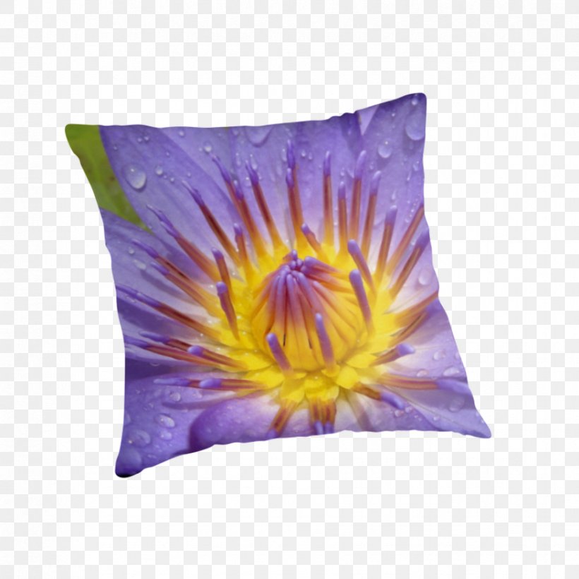 Cushion Throw Pillows Violet Dye, PNG, 875x875px, Cushion, Dye, Flower, Flowering Plant, Lilac Download Free