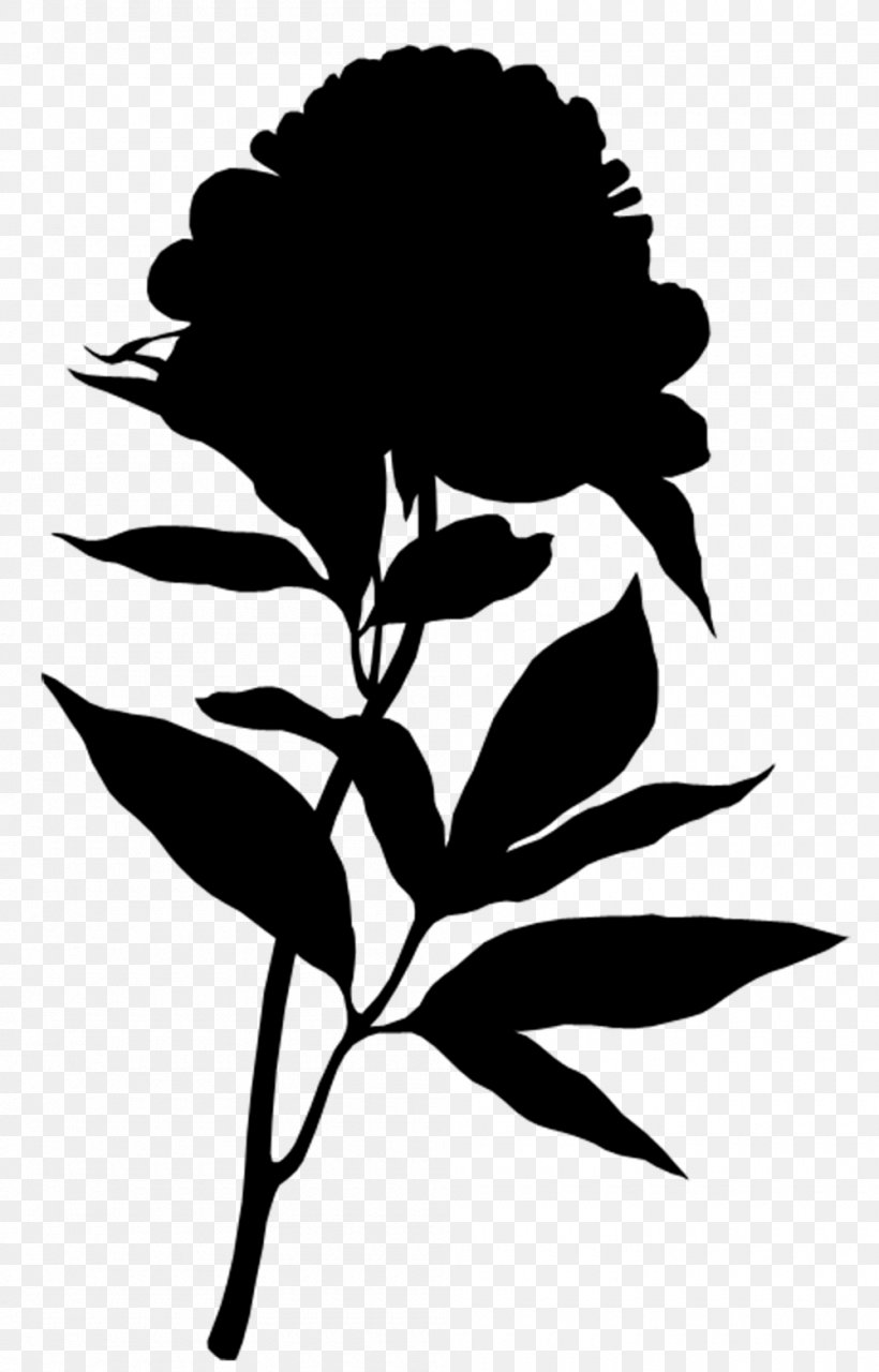 Flower Illustration Rose Cut Flowers Floral Design, PNG, 1000x1561px, Flower Illustration, Blackandwhite, Blue, Botany, Branch Download Free