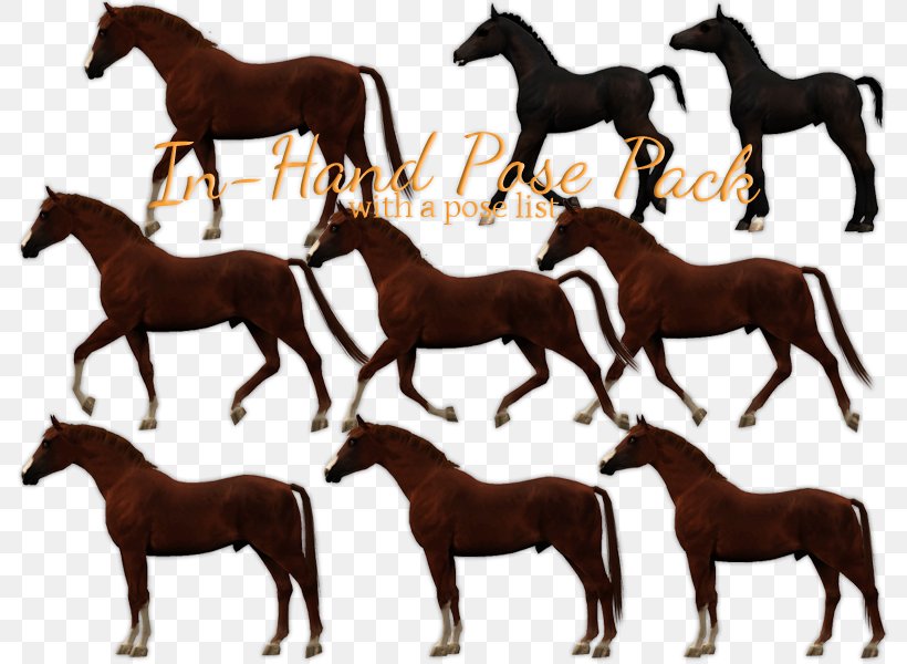 Mustang Foal Stallion Colt Mare, PNG, 800x600px, Mustang, Animal, Animal Figure, Colt, Foal Download Free