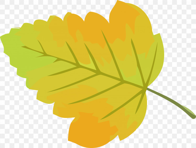 Autumn Leaf Yellow Leaf Leaf, PNG, 2947x2231px, Autumn Leaf, Autumn, Flower, Herbaceous Plant, Leaf Download Free