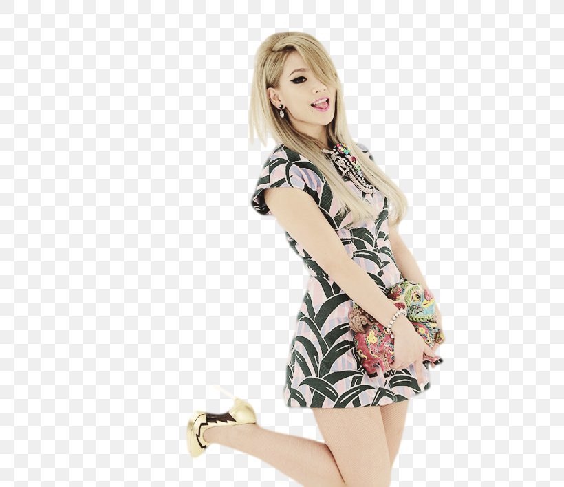 CL 2NE1 The Baddest Female K-pop YG Entertainment, PNG, 500x708px, Watercolor, Cartoon, Flower, Frame, Heart Download Free