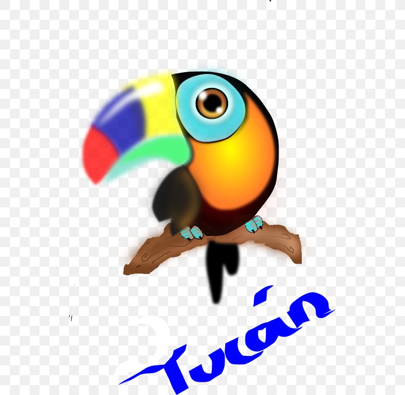 Toucan Bird Parrot Clip Art, PNG, 539x800px, Toucan, Beak, Bird, Image File Formats, Parrot Download Free