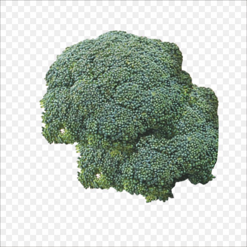 Broccoli Vegetable Food Cauliflower, PNG, 1773x1773px, Broccoli, Asado, Cauliflower, Chou, Cocido Download Free