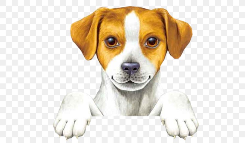 Dog YouTube Animation Pet Sitting, PNG, 539x480px, Dog, Animation, Beagle, Carnivoran, Companion Dog Download Free