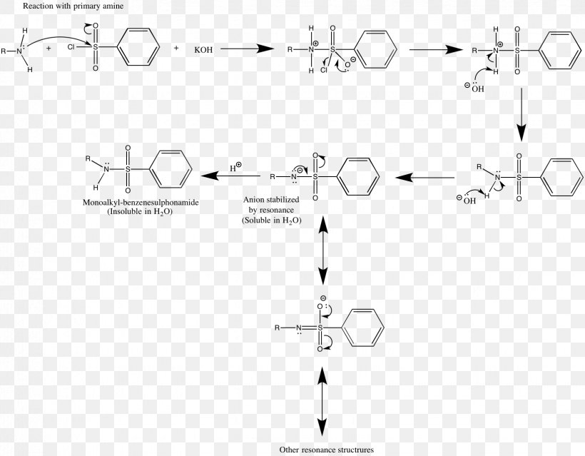Hinsberg Reaction Amine Chemical Reaction Document, PNG, 1645x1283px, Amine, Acetate, Area, Black And White, Brand Download Free