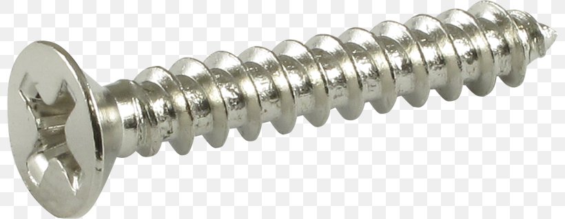 ISO Metric Screw Thread Fastener Stainless Steel, PNG, 800x319px, Screw, Ce Distribution, Fastener, Hardware, Hardware Accessory Download Free