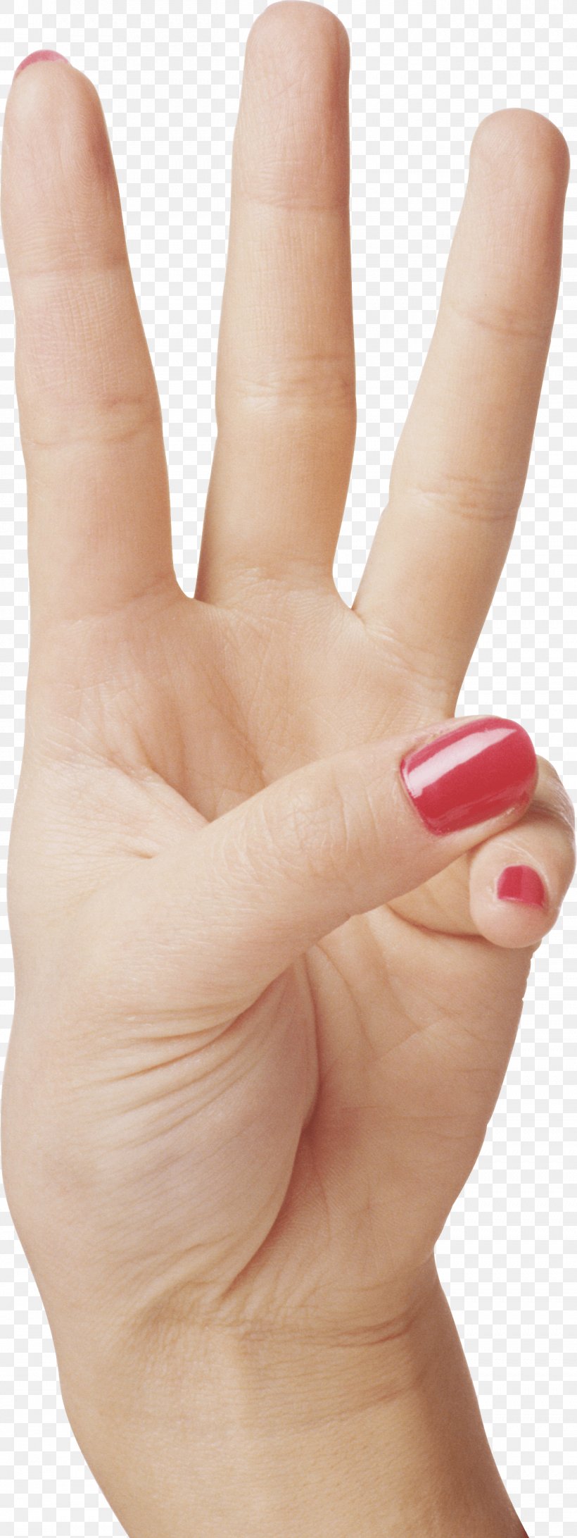 Nail Digit Clip Art, PNG, 1353x3603px, Nail, Archive File, Arm, Digit, Finger Download Free