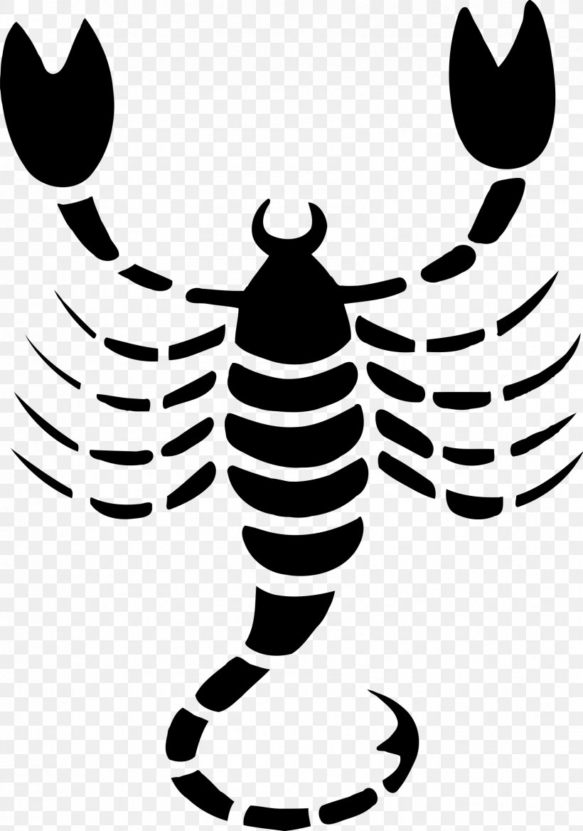 Scorpion Astrological Sign Astrology Zodiac, PNG, 1684x2400px, Scorpion, Aries, Astrological Sign, Astrological Symbols, Astrology Download Free