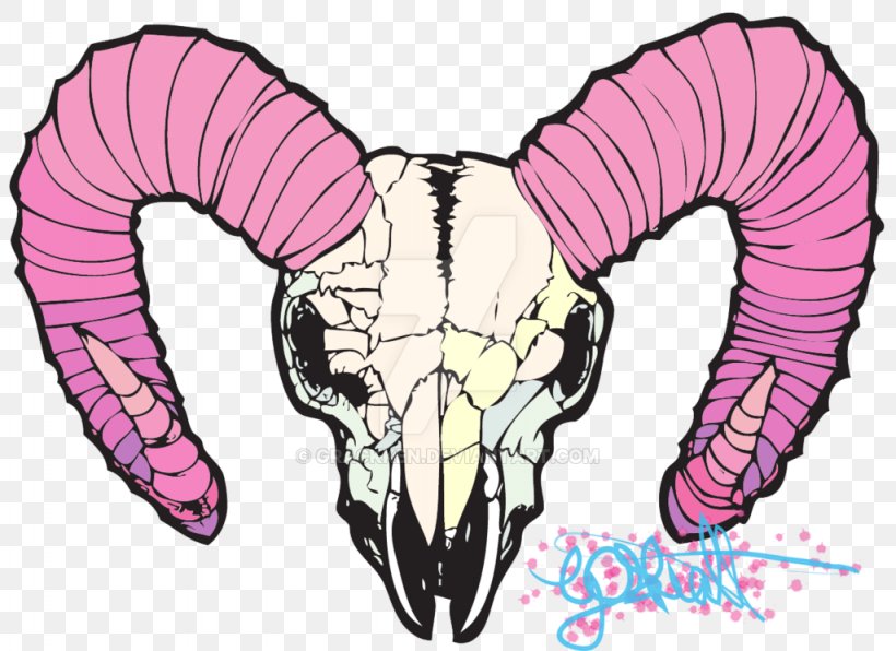 Skull Art Pastel Jaw Pink, PNG, 1024x745px, Watercolor, Cartoon, Flower, Frame, Heart Download Free