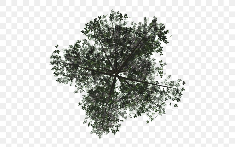 Texture Mapping Tree Rendering Alpha Compositing, PNG, 512x512px, Texture Mapping, Alpha Compositing, Babylonjs, Branch, Color Download Free