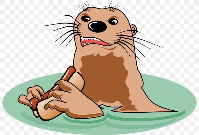 Whiskers Clip Art, PNG, 800x556px, Whiskers, Beaver, Canidae, Carnivoran, Dog Download Free