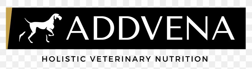 Arb Vidros Footwear Veterinary Clinic Molicki Brand Addvena, PNG, 2912x801px, Footwear, Absatz, Banner, Brand, Clothing Accessories Download Free