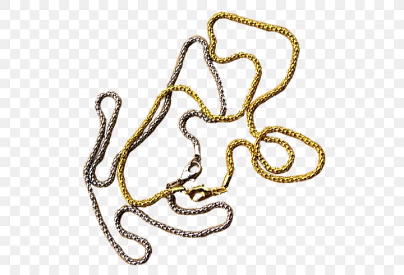 Body Jewellery Chain Animal Font, PNG, 560x560px, Jewellery, Animal, Body Jewellery, Body Jewelry, Chain Download Free