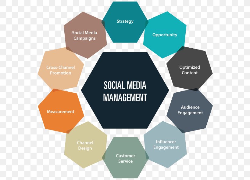 Social Media Organization Media Management Digital Marketing, PNG, 585x589px, Social Media, Brand, Business, Communicatiemiddel, Communication Download Free