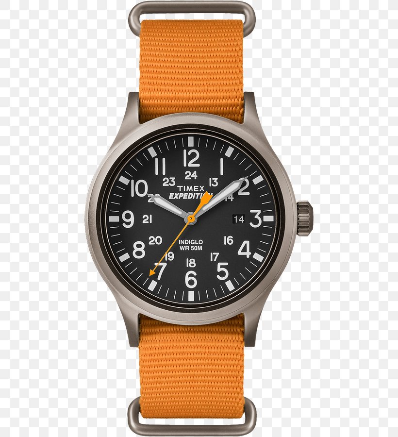 Timex Men's Expedition Scout Timex Group USA, Inc. Watch Strap Timex Ironman, PNG, 750x900px, Timex Group Usa Inc, Brand, Chronograph, Indiglo, Quartz Clock Download Free