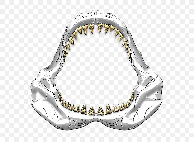 Shark Jaws Great White Shark Hungry Shark Evolution Tooth, PNG, 600x600px, Shark, Drawing, Great White Shark, Hungry Shark, Hungry Shark Evolution Download Free