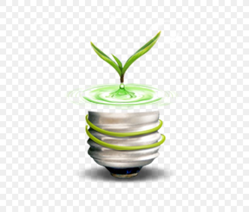 Incandescent Light Bulb Environmental Protection Green, PNG, 700x700px, Light, Christmas Lights, Cup, Environmental Protection, Flowerpot Download Free