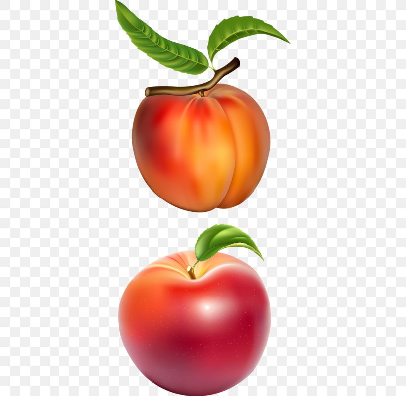 Juice Fruit Royalty-free Illustration, PNG, 355x800px, Juice, Apple, Bush Tomato, Diet Food, Drawing Download Free