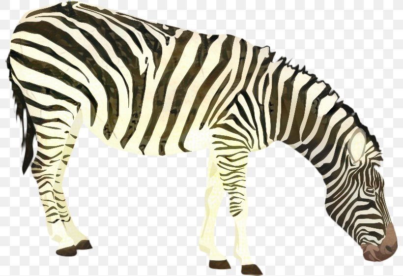 Lion Drawing, PNG, 798x561px, Zebra, Animal, Animal Figure, Cartoon, Drawing Download Free