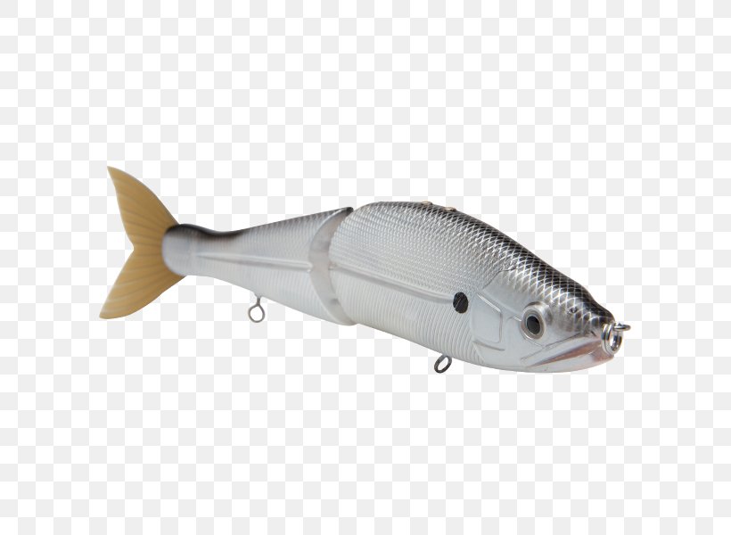 Milkfish Spoon Lure Bonito Silver Shiner, PNG, 600x600px, Milkfish, Ac Power Plugs And Sockets, Bait, Bonito, Bony Fish Download Free