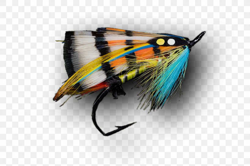 Artificial Fly Fly Fishing Recreational Fishing Fishing Techniques, PNG, 1024x683px, Artificial Fly, Camping, Fishing Bait, Fishing Lure, Fishing Techniques Download Free