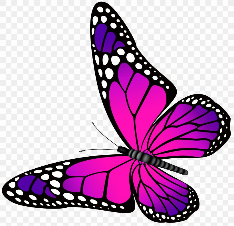 Butterfly Pink Purple Clip Art, PNG, 7000x6769px, Butterfly, Blue, Brush Footed Butterfly, Clip Art, Color Download Free
