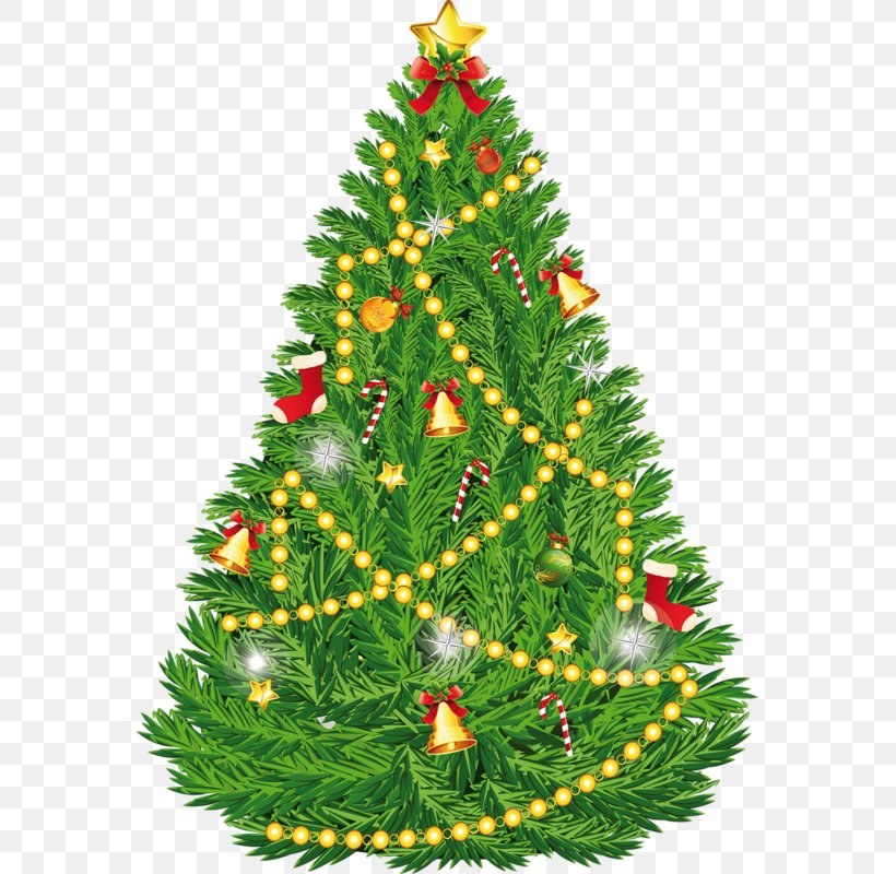 Christmas Tree Christmas Ornament Clip Art, PNG, 569x800px, Christmas Tree, Christmas, Christmas Decoration, Christmas Gift, Christmas Ornament Download Free