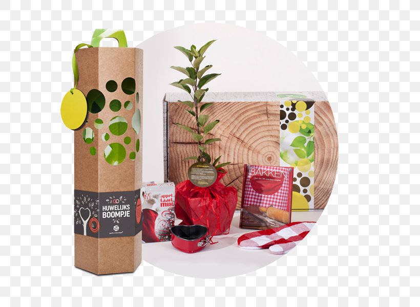 Geef Een Boompje.nl Gift Arbre-cadeau.fr Tree Symbol, PNG, 600x600px, Gift, Christmas Tree, Flowerpot, Fruit, Olive Download Free