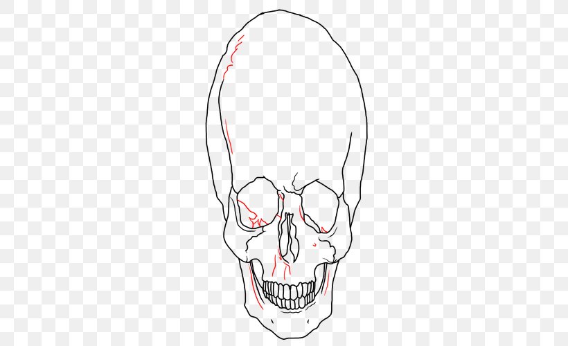 Skull Ear Drawing Jaw Clip Art, PNG, 500x500px, Watercolor, Cartoon, Flower, Frame, Heart Download Free