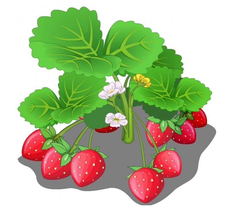 Strawberry Fruit Cartoon, PNG, 1024x916px, Strawberry, Auglis, Berry, Cartoon, Cherry Download Free