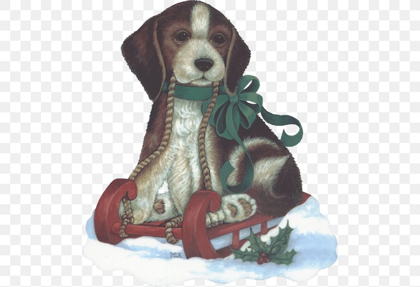 Beagle Puppy Dog Breed Christmas Companion Dog, PNG, 500x562px, Beagle, Animal, Biscuits, Blog, Breed Download Free
