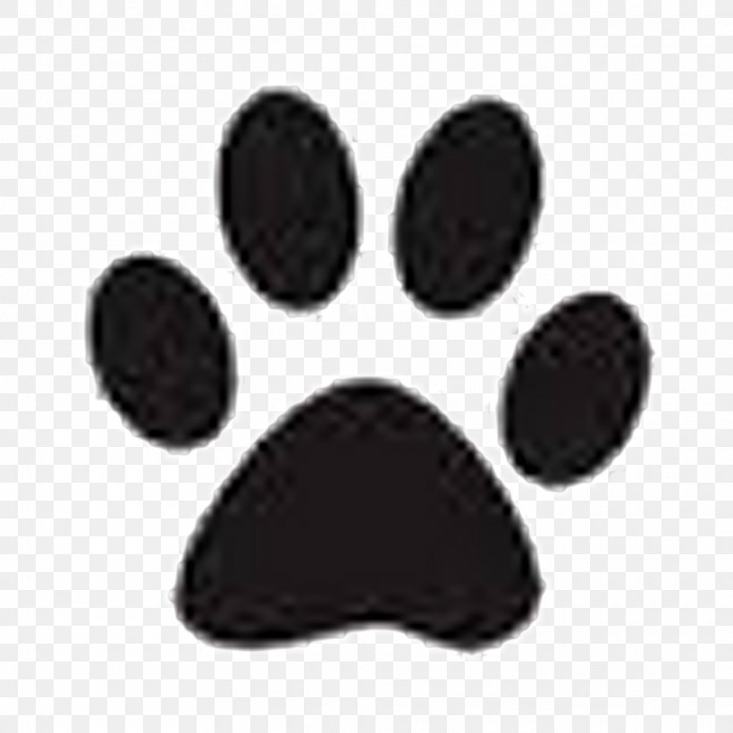 Dog Cat Vector Graphics Paw Illustration, PNG, 1920x1920px, Dog, Black, Cat, Drawing, Footprint Download Free