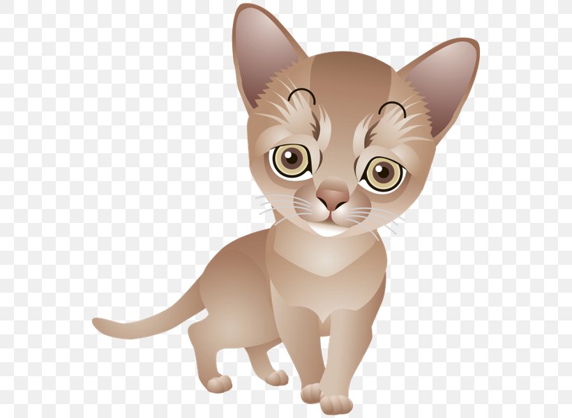 Kitten Whiskers Burmese Cat Domestic Short-haired Cat, PNG, 570x600px, Kitten, Asian, Burmese, Burmese Cat, Carnivoran Download Free