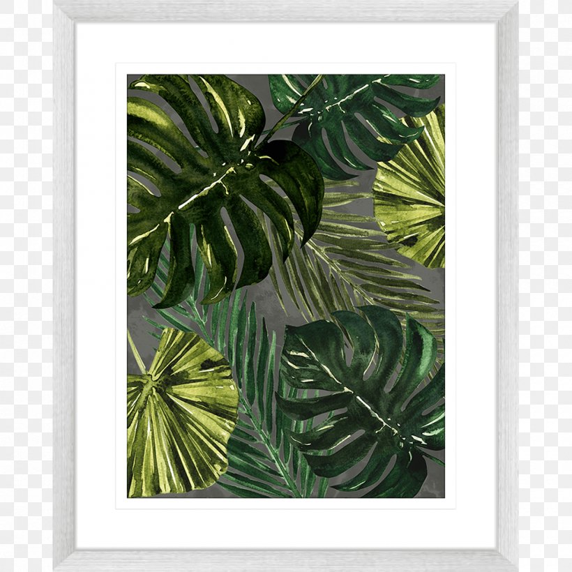 Picture Frames Leaf Tree Plant, PNG, 1000x1000px, Picture Frames, Evergreen, Leaf, Picture Frame, Plant Download Free