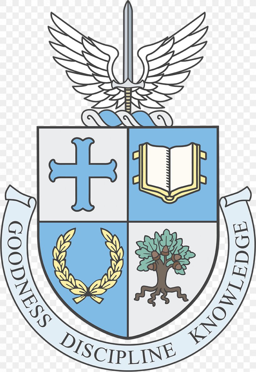 St. Michael's College, Toronto University Of Toronto Saint Michael's College St. Michaels University School, PNG, 854x1241px, University Of Toronto, Area, College, Congregation Of St Basil, Creative Arts Download Free