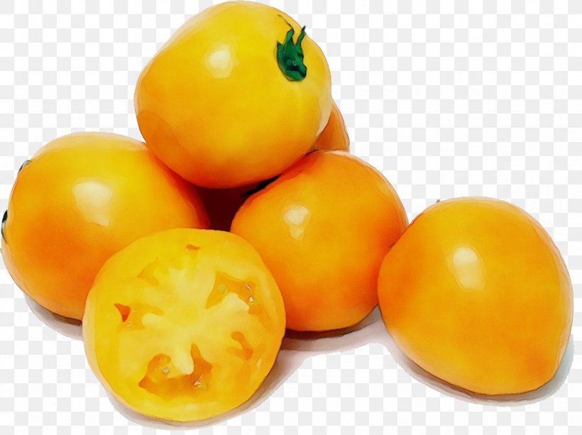 Tomato, PNG, 872x652px, Watercolor, Food, Fruit, Nightshade Family, Paint Download Free
