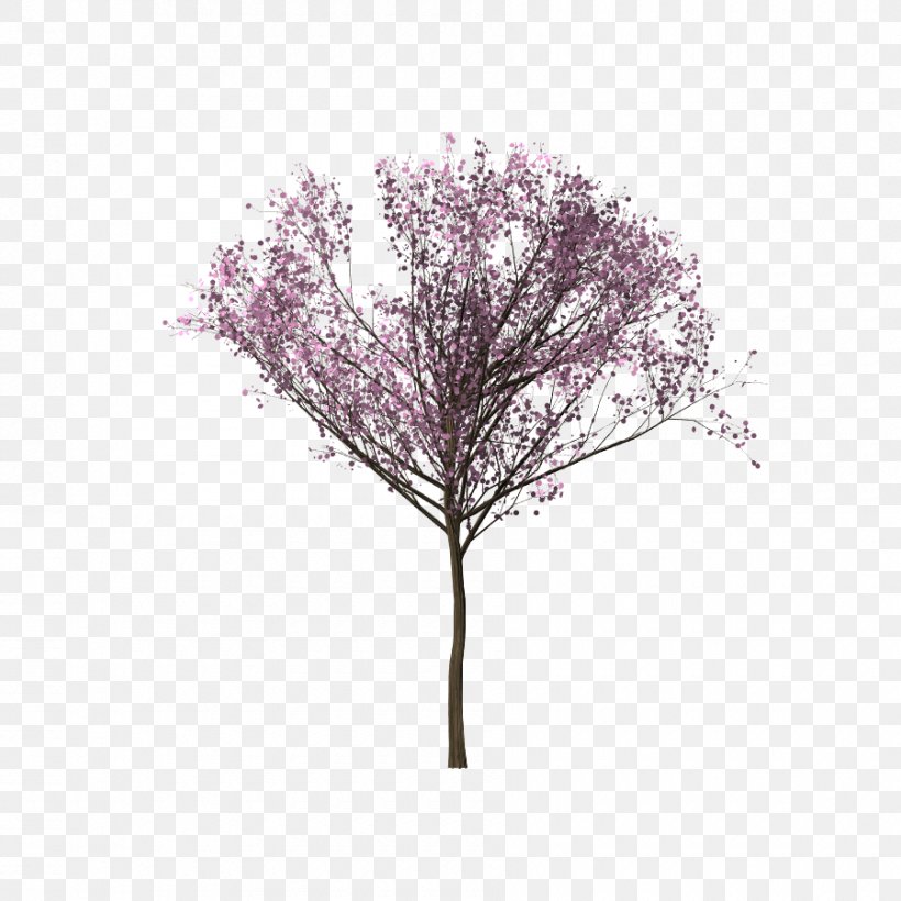 Tree Cherry Blossom Branch, PNG, 900x900px, Tree, Android, Blossom, Branch, Cherry Blossom Download Free