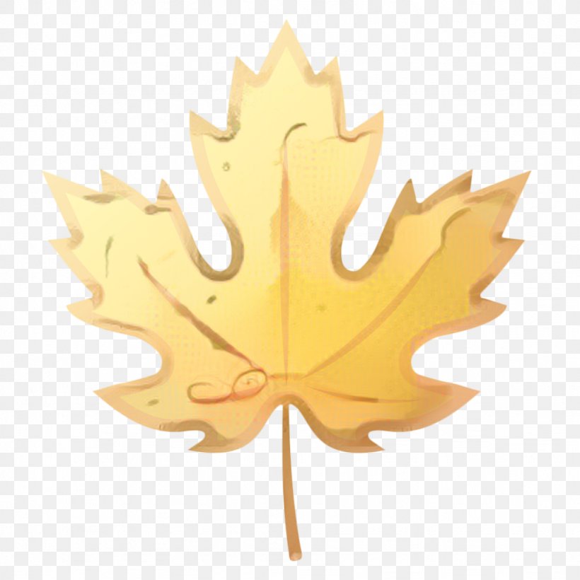 Canada Maple Leaf, PNG, 1024x1024px, Maple Leaf, Autumn, Autumn Leaf Color, Black Maple, Canada Download Free