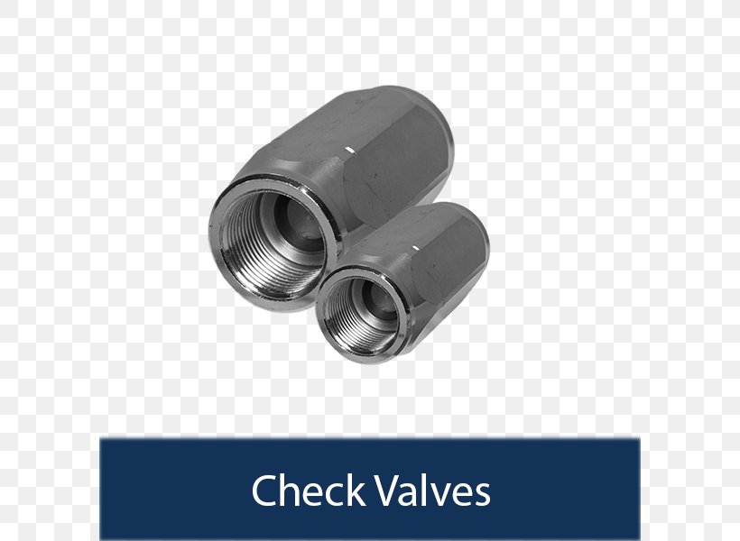 Check Valve Poppet Valve Holmbury St Mary Pressure, PNG, 600x600px, Valve, Check Valve, Coupling, Curriculum Vitae, Hardware Download Free