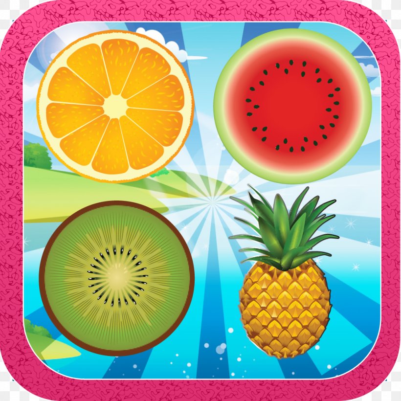 Diet Food Superfood Fruit, PNG, 1024x1024px, Diet Food, Diet, Food, Fruit, Organism Download Free