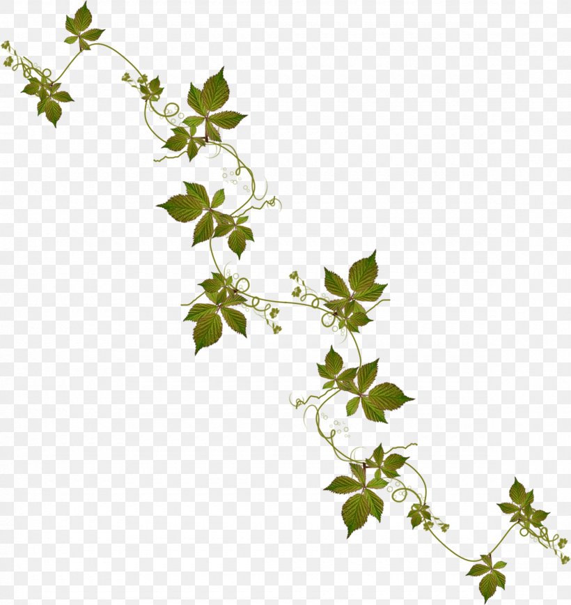 Clip Art, PNG, 2360x2500px, Leaf, Branch, Digital Image, Directory, Display Resolution Download Free