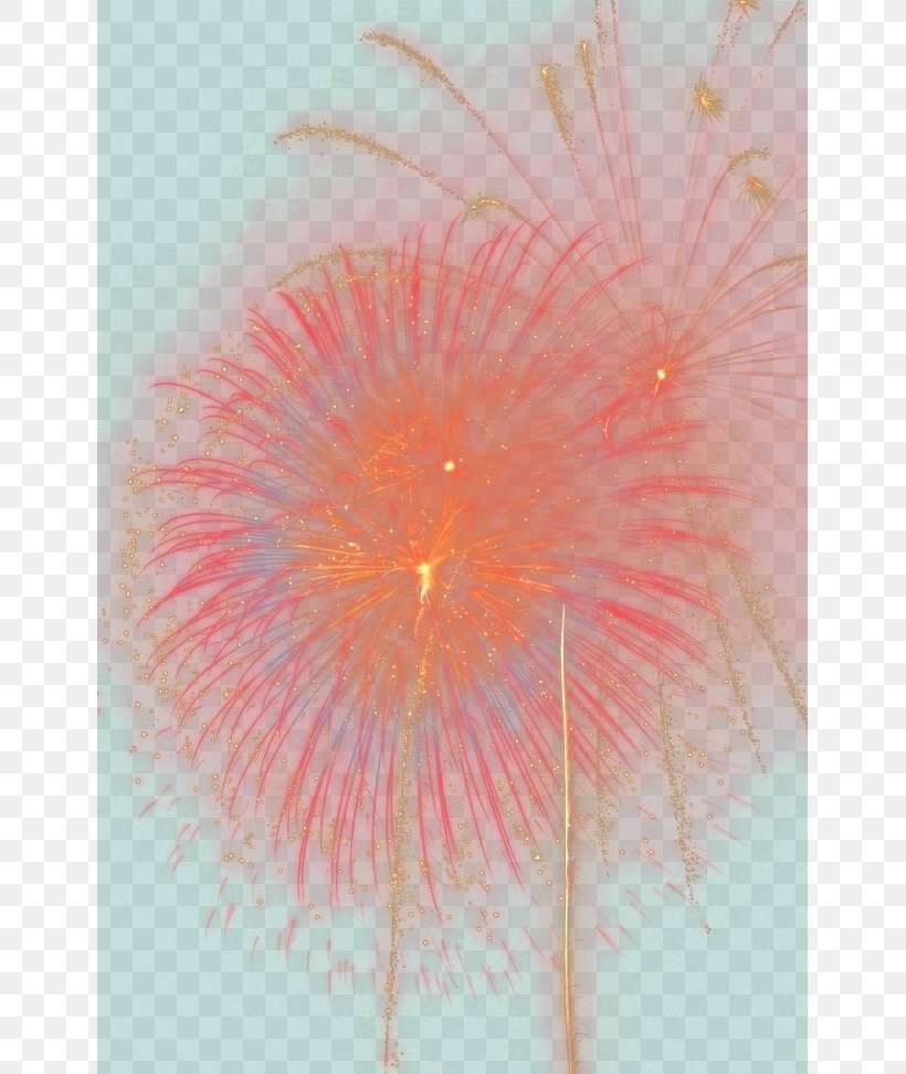 Fireworks Icon, PNG, 643x972px, Fireworks, Close Up, Computer, Dots Per Inch, Explosion Download Free