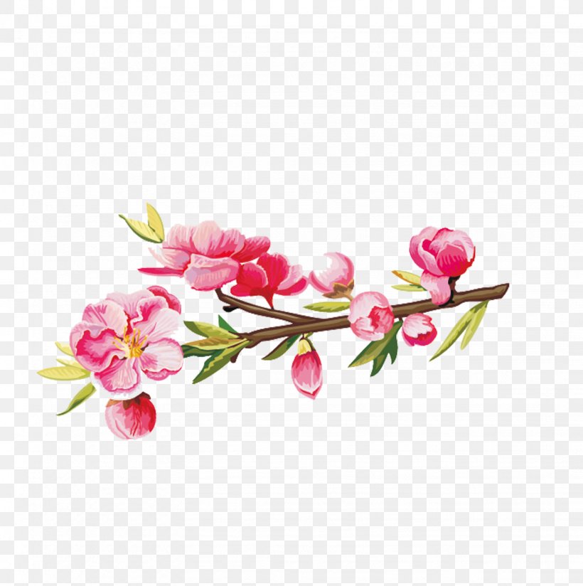 Flower Euclidean Vector, PNG, 1637x1645px, Flower, Blossom, Branch, Cherry Blossom, Cut Flowers Download Free