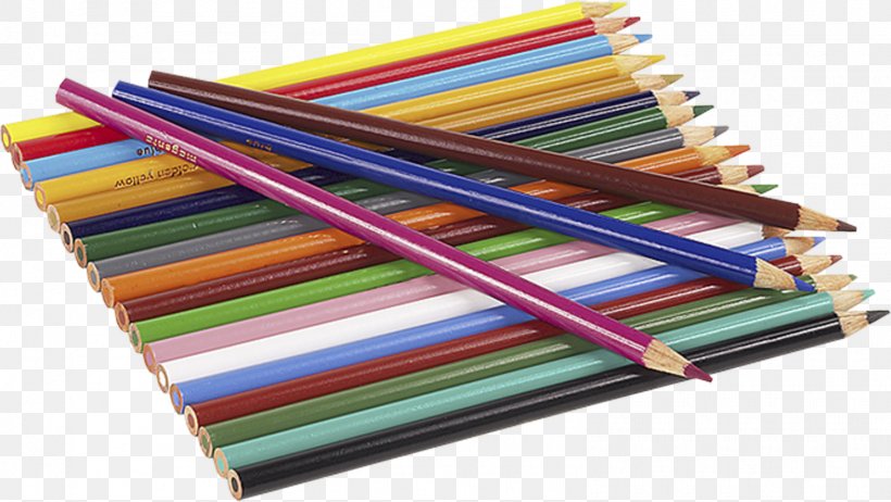Forest School Colored Pencil, PNG, 1572x887px, School, Color, Colored Pencil, Drawing, Education Download Free