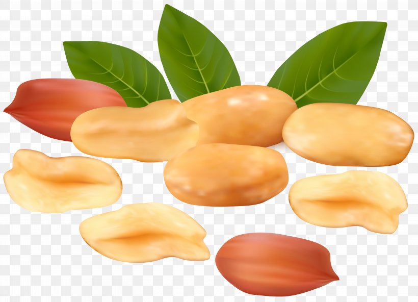 Peanut Clip Art, PNG, 6061x4379px, Peanut, Cartoon, Commodity, Food, Fruit Download Free