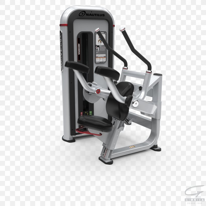 Physical Fitness Biceps Curl Strength Training Nautilidae Exercise Machine, PNG, 1200x1200px, Physical Fitness, Biceps Curl, Bodybuilding, Crunch, Elliptical Trainer Download Free