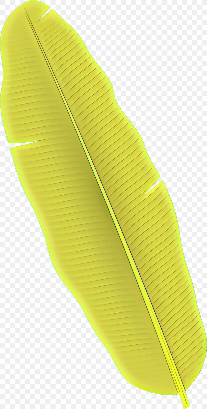 Yellow Green Fashion Accessory, PNG, 1518x3000px, Cartoon, Fashion Accessory, Green, Yellow Download Free