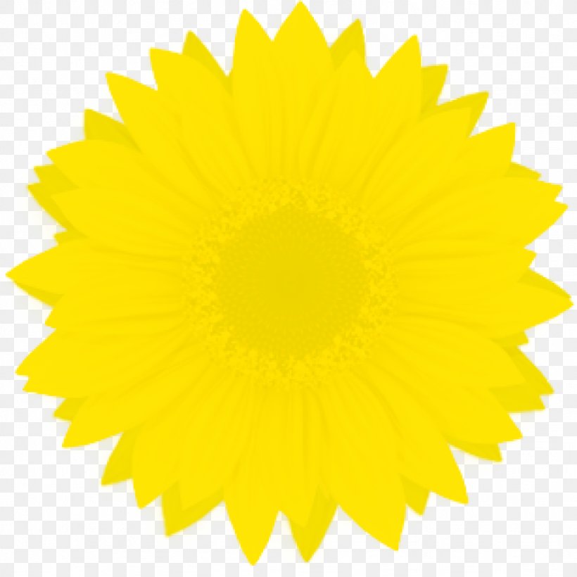 Yellow Starburst Clip Art, PNG, 1024x1024px, Yellow, Blue, Daisy Family, Dandelion, Flower Download Free