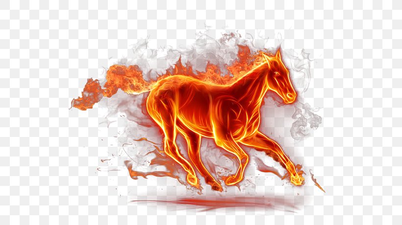 Horse Fire Flame Light, PNG, 570x460px, Horse, Art, Campfire, Combustion, Conflagration Download Free
